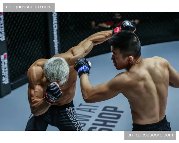 UFC选手参与录制的公共安全宣传片在全美电视台播出